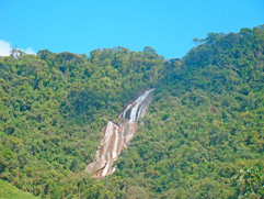 Turismo - Stio Cachoeiras do Alcantilado - Pousada das Araucrias - Visconde de Mau - RJ